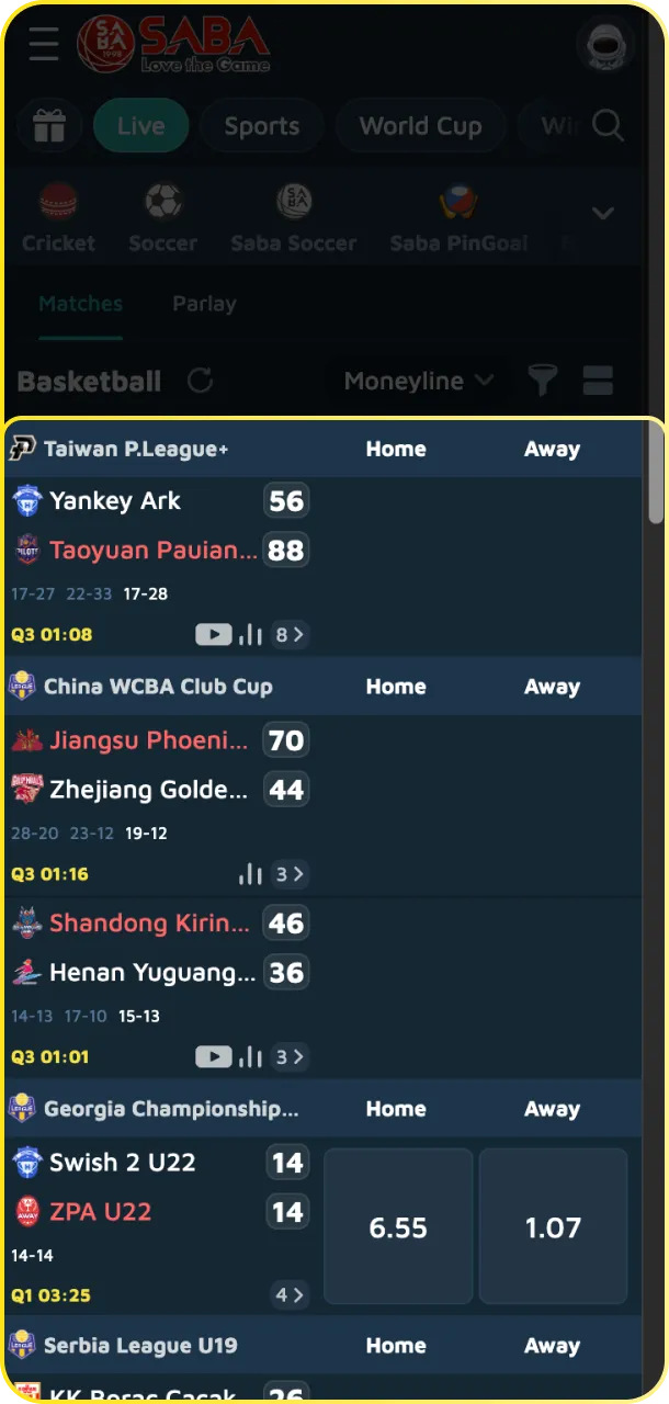 Review the basketball markets and choose a league to bet at Babu88.