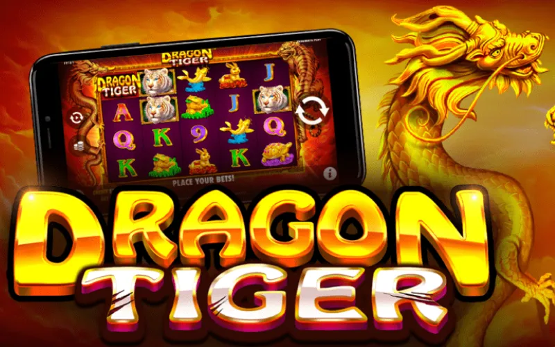 Bet on the winner in Dragon Tiger at the Babu88 live casino.